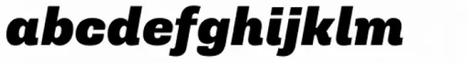 Supria Sans Black Italic