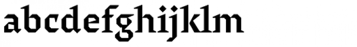 Surf Serif Pro Bold