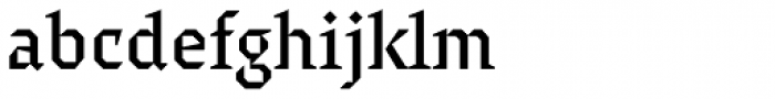 Surf Serif Pro