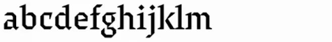 Surf Serif Pro