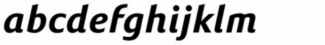 Susan Sans Bold Italic