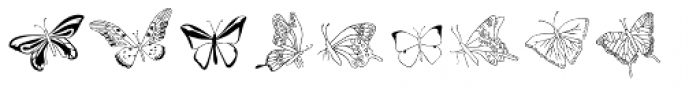 Swallowtail Butterflies