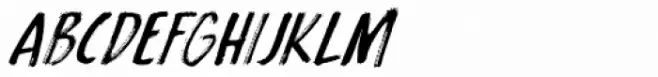 Symbolic Prophecy Italic