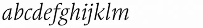 Syndor Pro Book Italic