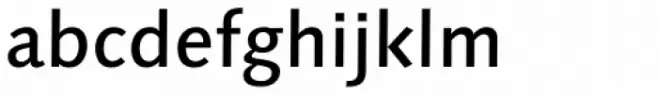 Syntax Next Pro Medium