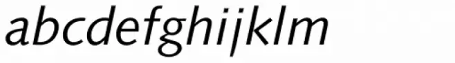 Syntax Pro Italic