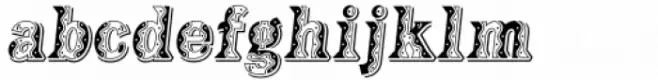 Taco Dlux Bold Italic