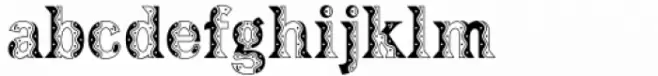 Taco Dlux Plain Bold