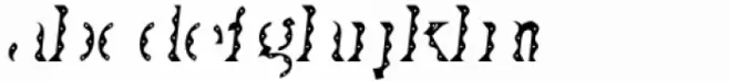 Taco Fill Dos Plain Bold Italic