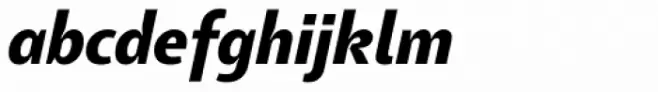 Tang Bold Italic