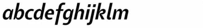 Tang Medium Italic