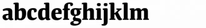 Tanger Serif Narrow Bold
