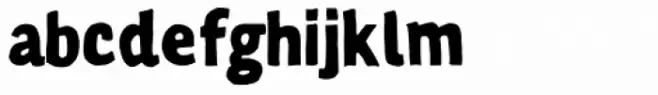 Tanuki Regular