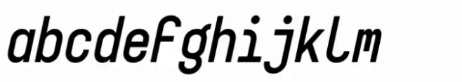 Targa Pro Mono Bold Italic