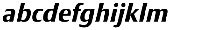 Taxon Bold Italic