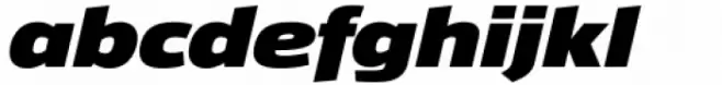 Taz Extended Black Italic