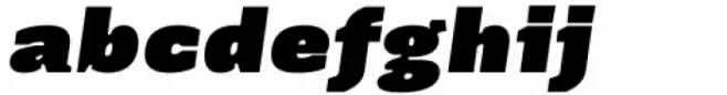 Terafile Italic Black