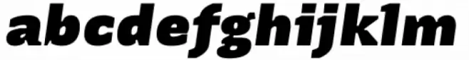 Terafile Italic Bold