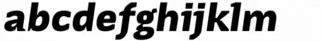 Terafile Italic Dark