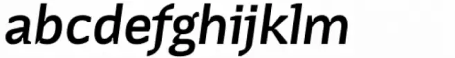 Terafile Italic Gray