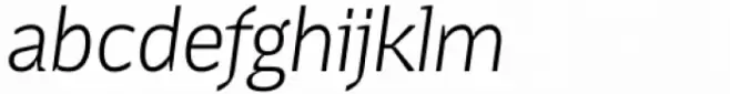 Terafile Italic Zinc