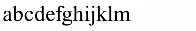 Terminal Std Bold