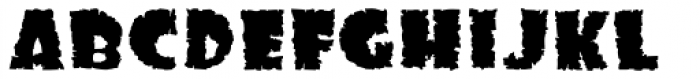 Terror JNL