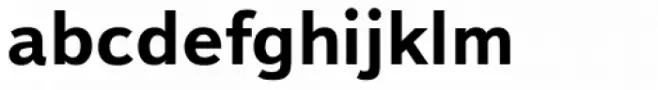 Textbook New Bold