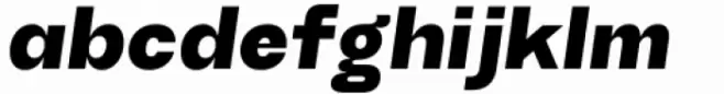 TG Haido Grotesk Black Italic