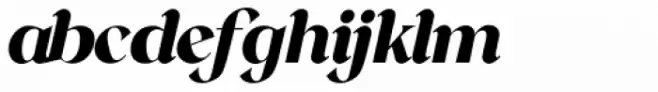 The Fudge Chonk Italic