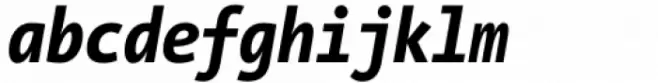 The Sans Mono Condensed ExtraBold Italic