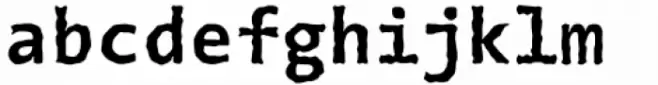 The Sans Typewriter Bold