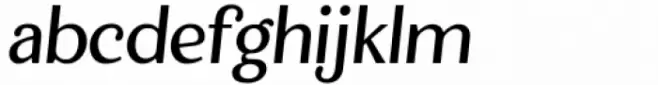 The Voyager Light Italic