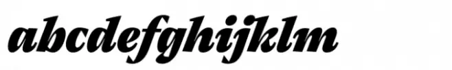 Thermal Black Text Italic