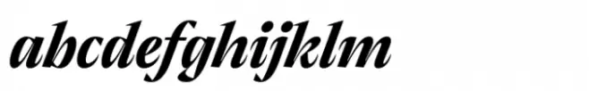 Thermal Bold Display Italic