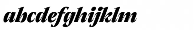 Thermal Extra Bold Display Italic