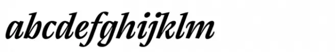 Thermal Medium Text Italic