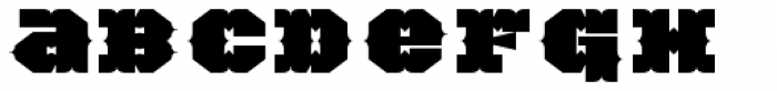 TigerCat BX 100 Black