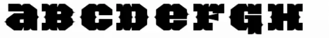 TigerCat BX 500 Black