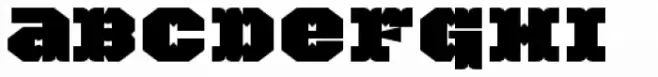 TigerCat EX 100 Black