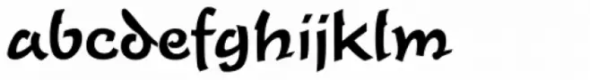 Time Script D Medium