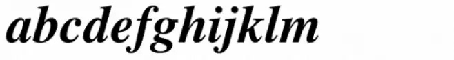 Times Bold Italic