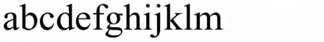 Times New Roman PS Std Regular
