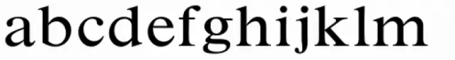Times New Roman Small Text Std Regular