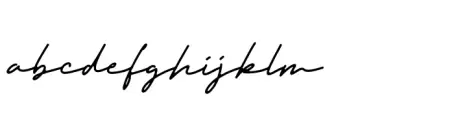 Timothy Signature Regular
