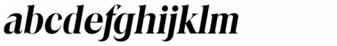Toledo Serial Bold Italic