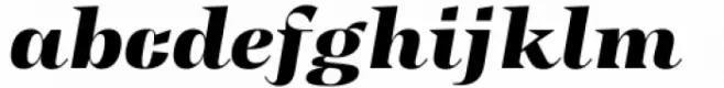 Tonus Display Black Italic