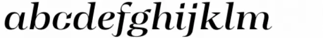 Tonus Display Medium Italic