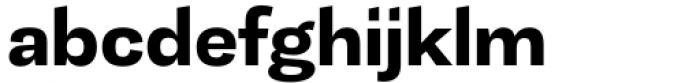Tonus Sans Bold