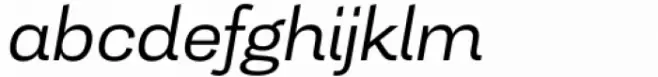 Tonus Sans Light Italic